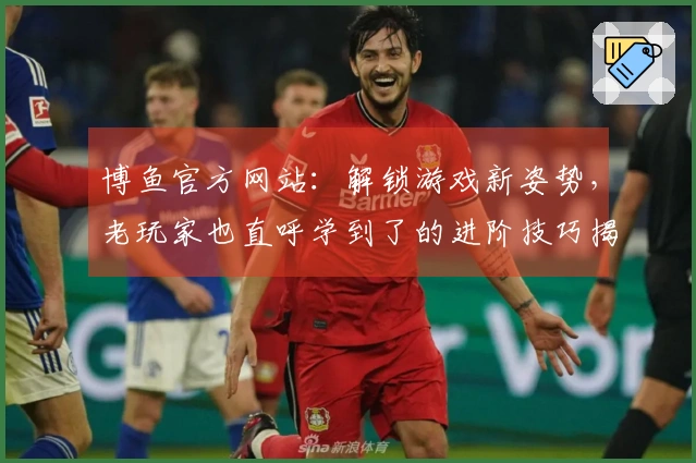 博鱼官方网站：解锁游戏新姿势，老玩家也直呼学到了的进阶技巧揭秘