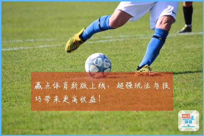 赢点体育新版上线，超强玩法与技巧带来更高收益！