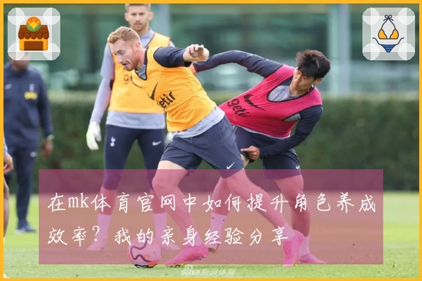 在mk体育官网中如何提升角色养成效率？我的亲身经验分享