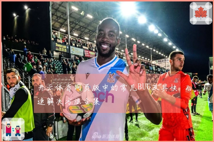 开云体育网页版中的常见BUG及其快速解决方法合集